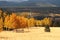 Fall color flagstaff arizona (4)