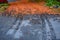 Fall color with maple leaves fallen on a residential driveway, wet tire tracks