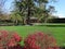 Fall color at the Peace Arch Park