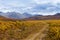 Fall color Tombstone Territorial Park Yukon Canada
