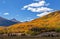 Fall Color In The Uppier Rio Grande Valley In Colorado