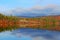 Fall color at White Mountains