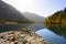 Fall colored landscape trees at lake plansee with rock in front