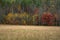 Fall Colors Across Cataloochee Valley