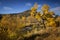 Fall colors along Carson River near Carson City, Nevada