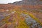 Fall Colors on an Arctic Wetland