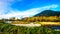 Fall Colors around Nicomen Slough, a branch of the Fraser River, as it flows through the Fraser Valley