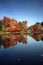 Fall Colors, Brant Lake, NY