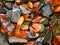 Fall colors. Detail of rotten old leaves on basalt gravel in mirrored water