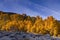 Fall Colors in the Eastern Sierra