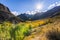 Fall colors in the Eastern Sierras