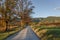 Fall colors on enchanted road at Smoky Mountains National Park during sunset with focus on trees