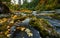 Fall colors in flowing river