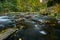 Fall colors in flowing river