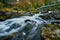 Fall colors in flowing river