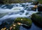 Fall colors in flowing river