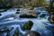 Fall colors in flowing river