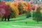 Fall colors in golf course