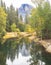 Fall colors and granite cliffs in Yosemite