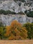 Fall colors and granite cliffs in Yosemite