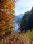 Fall colors on a hazy afternoon on the Youghiogheny River