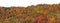 Fall Colors Hillside panorama wide