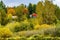 Fall Colors Juanita Bay Park Kirkland Washington