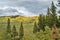 Fall colors at Kenosha Pass in Colorado