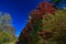 Fall colors line the trail in the Kickapoo Valley reserve