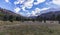 Fall Colors at Lockett Meadow Near Flagstaff Arizona