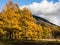 Fall colors in Nikko, Japan