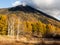 Fall colors in Nikko, Japan