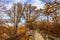 Fall colors over a walkway or boardwalk in  Hitchcock conservation center Iowa USA