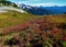 Fall colors on Ptarmigan Ridge trail in the North Cascadess
