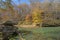 Fall Colors on a Quiet Forest Creek