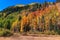 Fall colors in the San Juan Mountains near Durango, Colorado