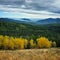 Fall colors with smoke