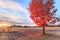 Fall colors at sunrise in rural Canada