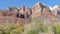 Fall Colors in the Tree at Zion National Park Utah Panning Shot