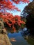 Fall colors in wondrous Japan