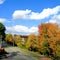 Fall colour alongside Arkansas river trail