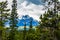 Fall colours abound along the Icefields Parkway. Banff National Park Alberta Canada