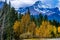 Fall colours abound along the Icefields Parkway. Banff National Park Alberta Canada