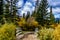 Fall colours abound around Marsh loop. Banff National Park Alberta Canada