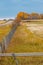 Fall colours in farmers field are popping. Mountainview County, Alberta, Canada