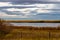 Fall colours in farmers field are popping. Mountainview County, Alberta, Canada