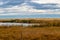 Fall colours in farmers field are popping. Mountainview County, Alberta, Canada