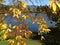 Fall Colours in Lake Placid, New York