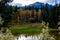 Fall colours make their appearance at the Mule Shoe. Banff National Park Alberta Canada