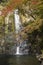 Fall colours in Minoo Forested Park and Waterfall, a natural recreation area in suburban Osaka, Japan